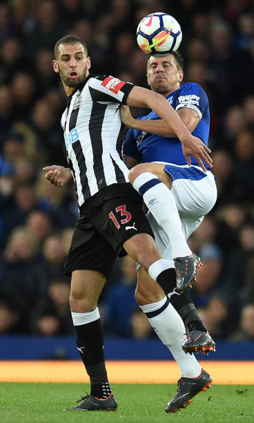 组成部分 组成部分